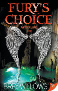 Furys Choice by Brey Willows-website