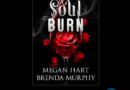 Soul Burn by Brenda Murphy and Megan Hart